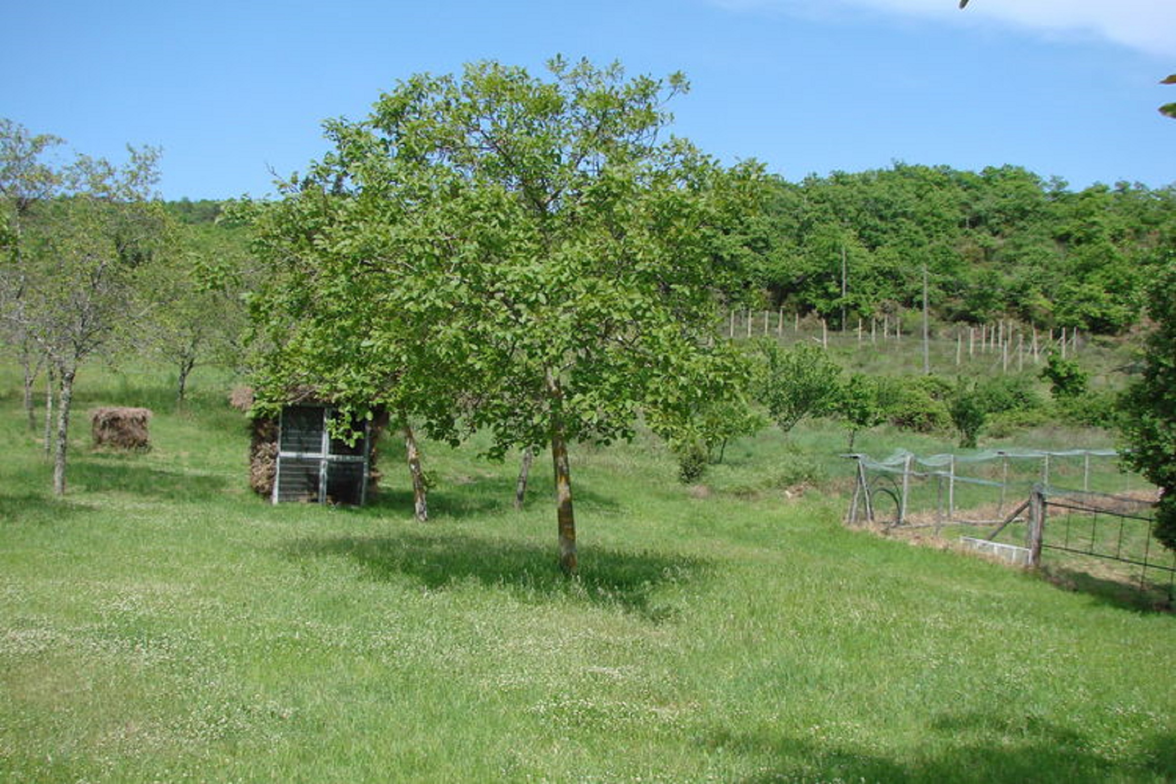 Natura nella Riserva