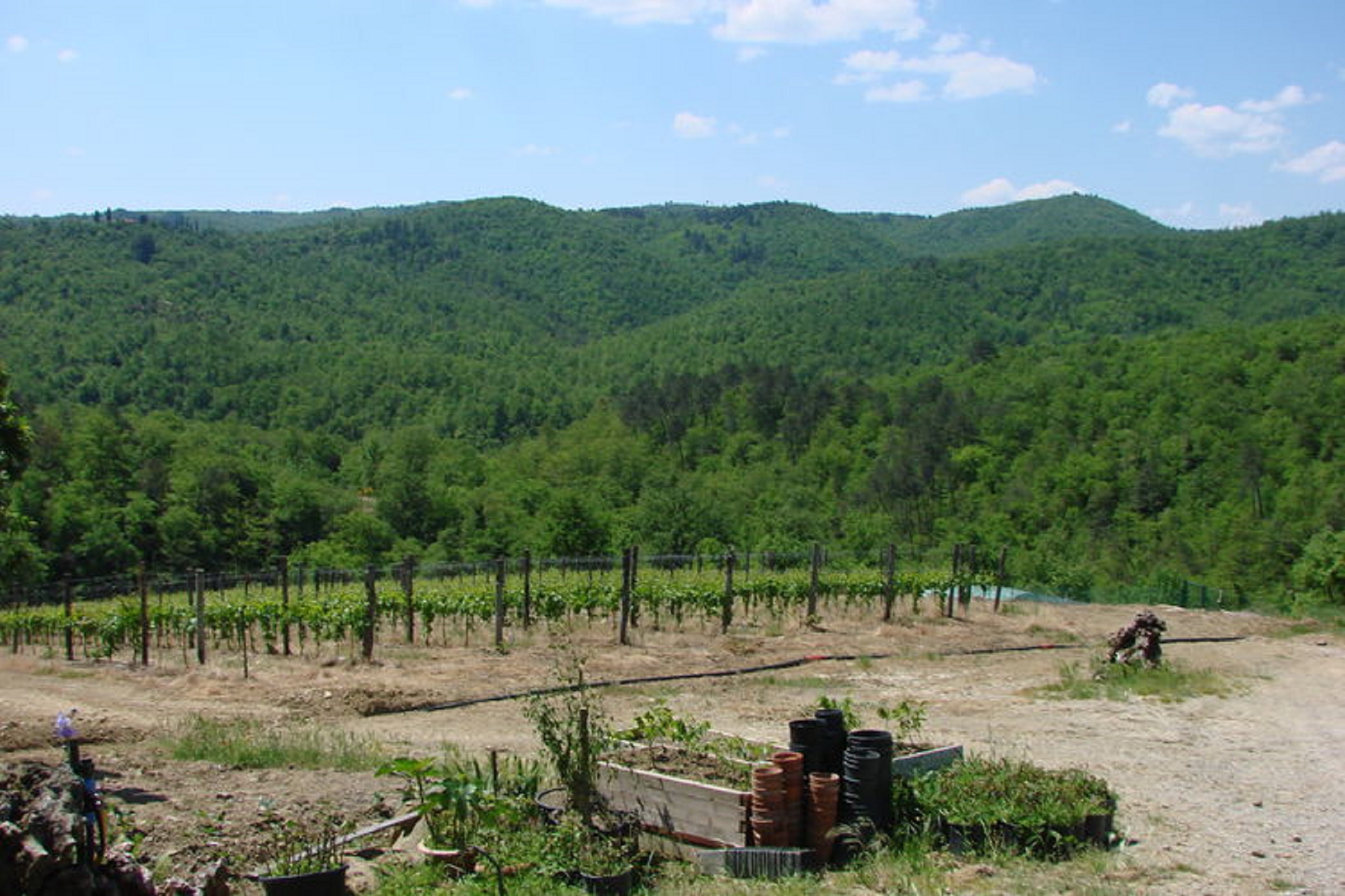 Natura nella Riserva