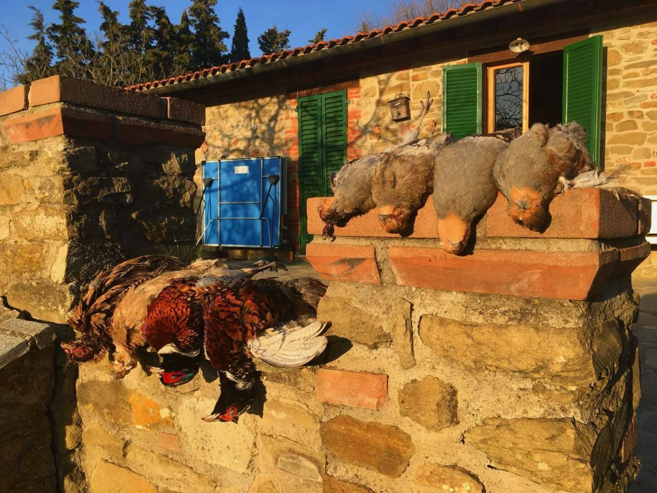 stanziali riserva di caccia toscana