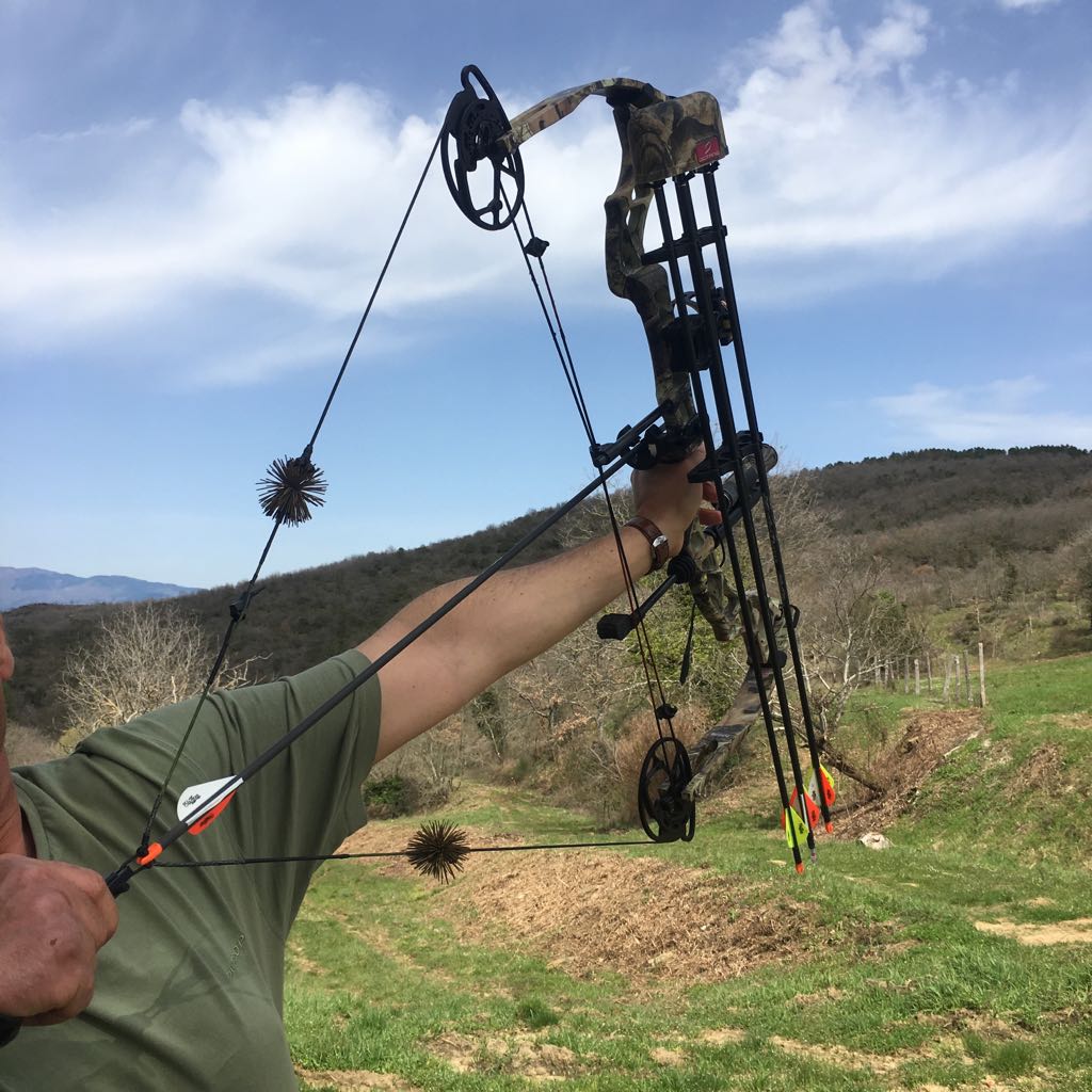 Caccia al Cinghiale con l'Arco