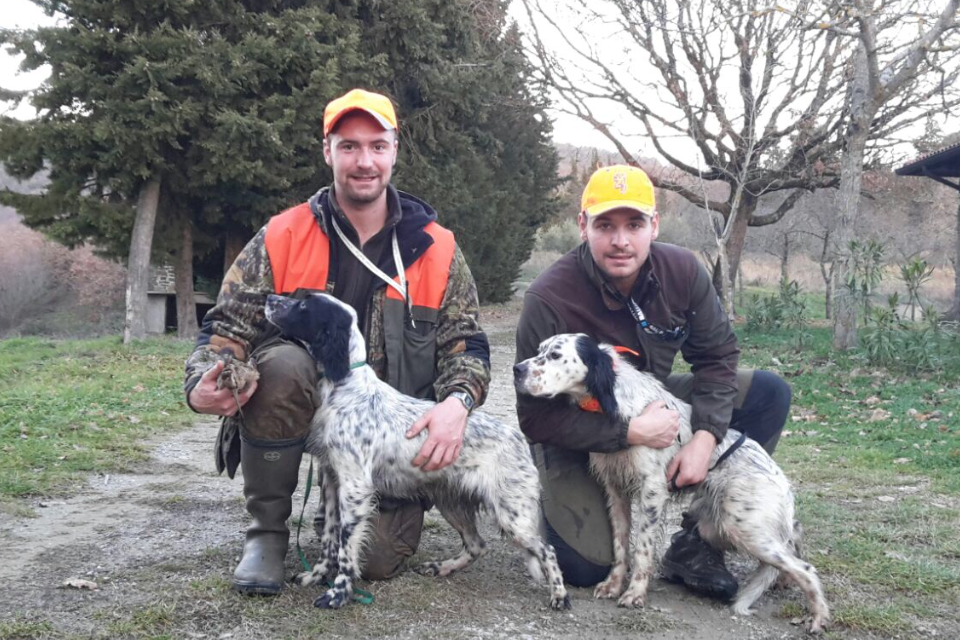 Caccia e Cani