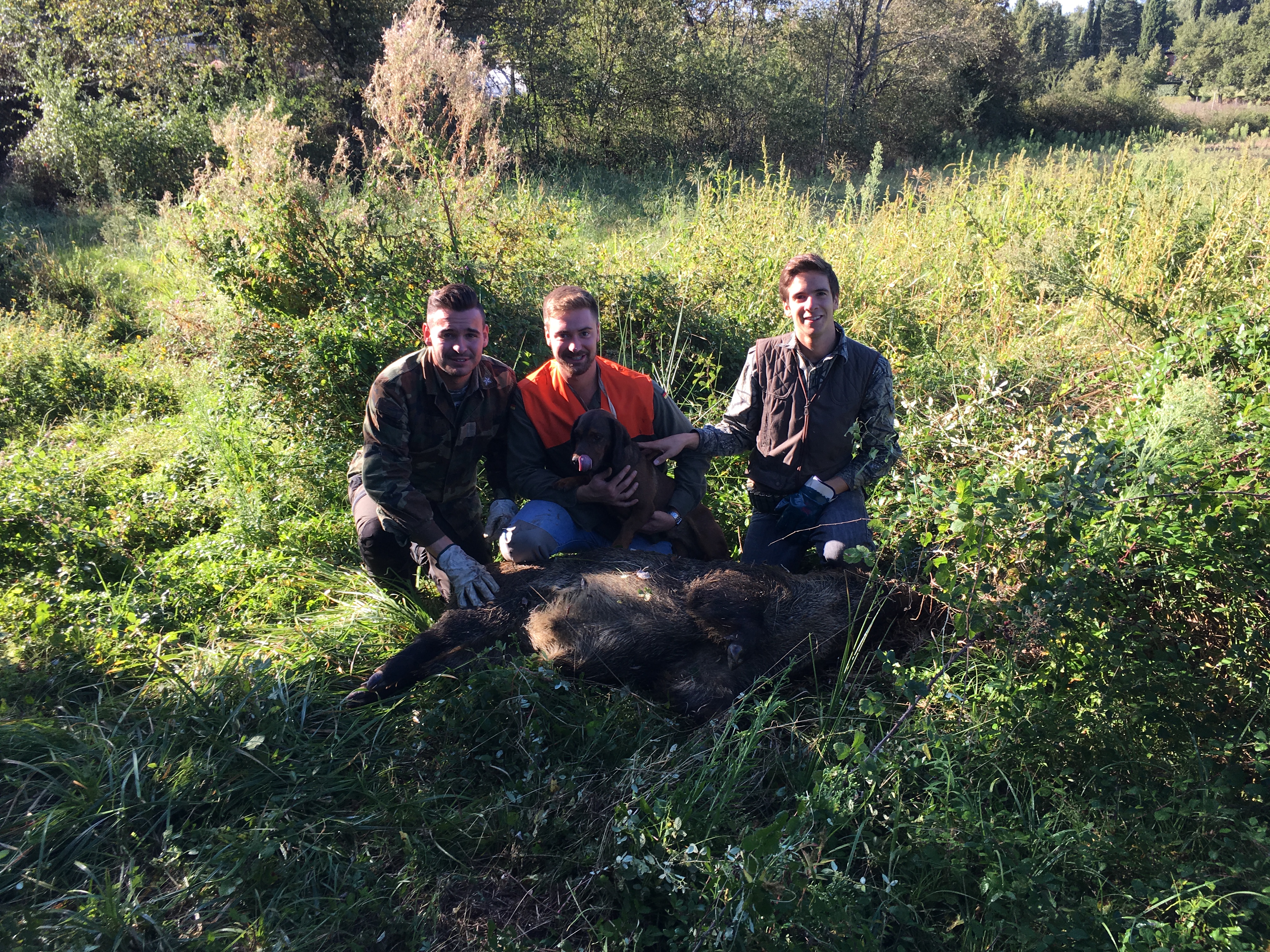 Una sessione di caccia al cinghiale in toscana