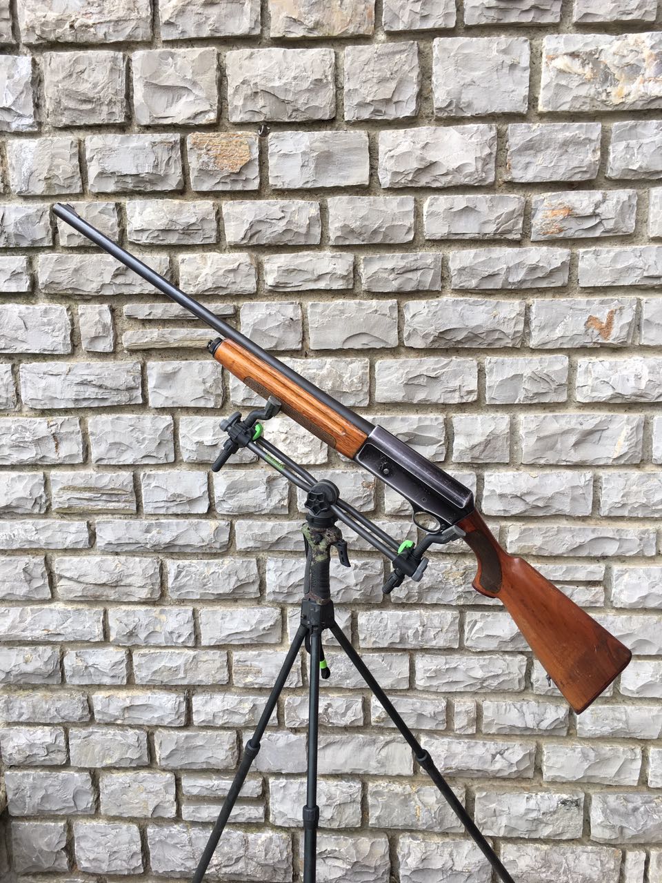 Semiautomatic Shotgun Luigi Franchi Caliber 12