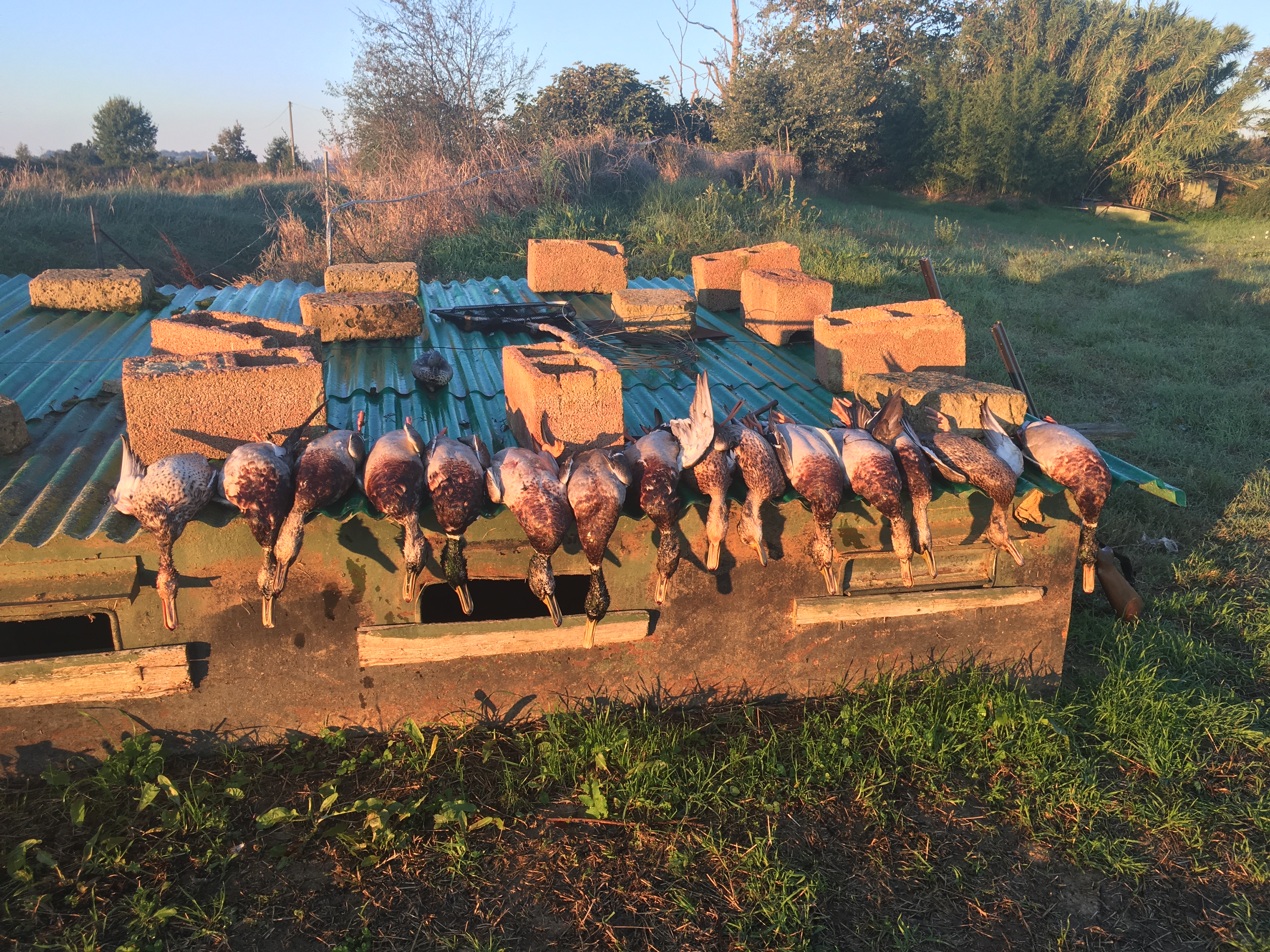 waterfowl hunting in tuscany 